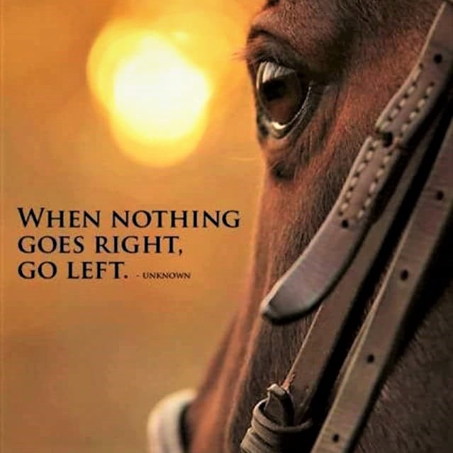 Peaceful Ponies Foundation logo