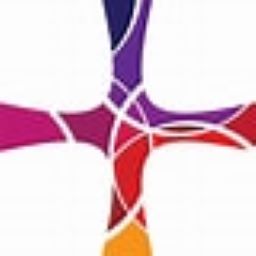 Sisters of St. Joseph Healthcare Foundation logo
