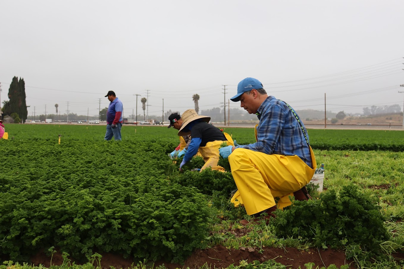 UFW FOUNDATION - GuideStar Profile