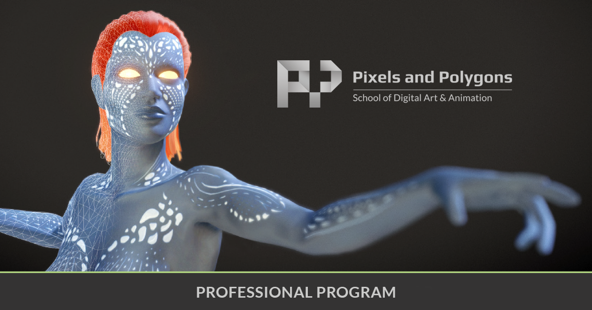 Pixels and Polygons Inc - GuideStar Profile
