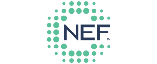 National Energy Foundation, Inc. (NEF) logo