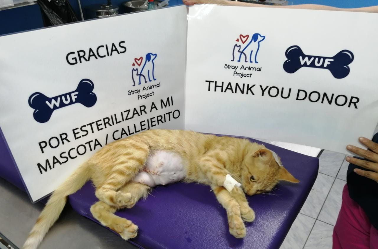 Stray Animal Project - GuideStar Profile