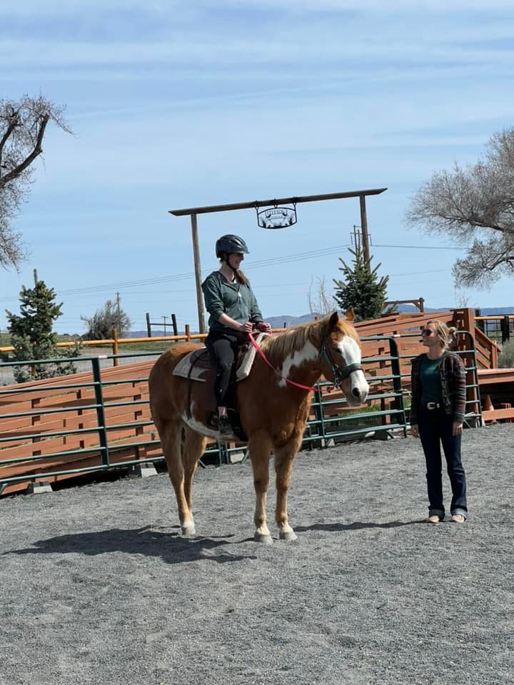 Solid Ground Equine Assisted Activities and Therapy Center - GuideStar ...