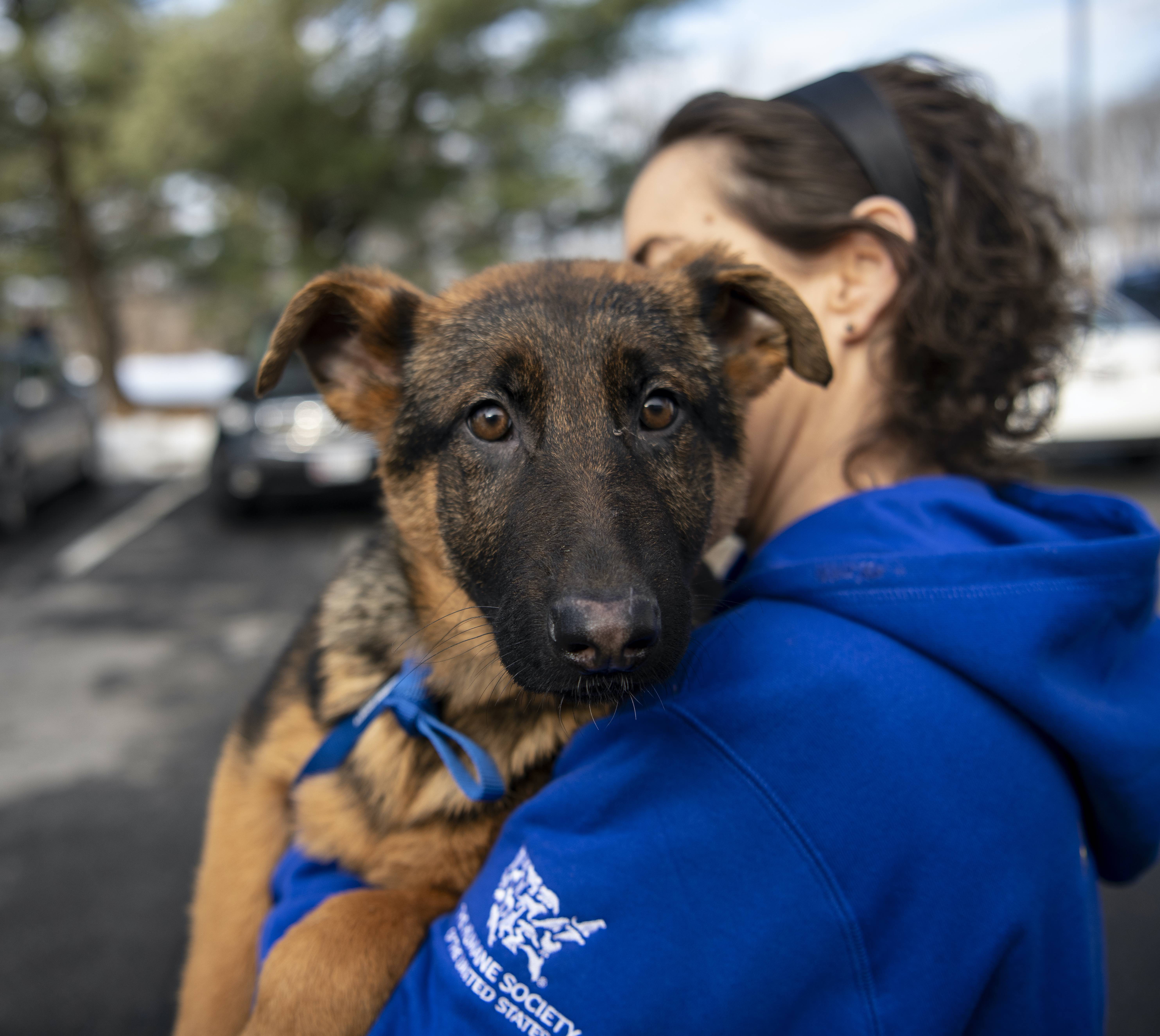 Humane World for Animals - GuideStar Profile