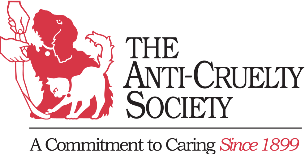 The Anti-Cruelty Society