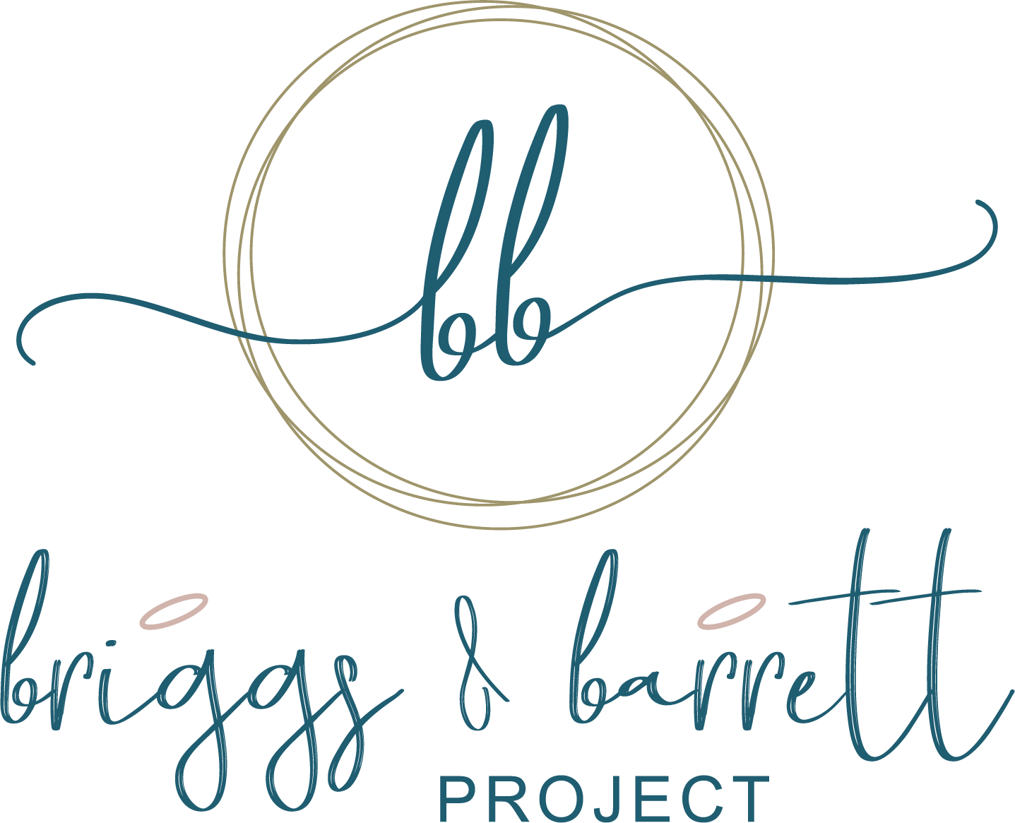 The Briggs and Barrett Project logo