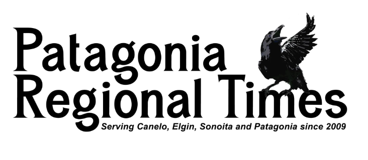 Patagonia Regional Times logo