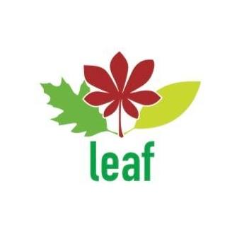 The Leaf Program Inc (The Lyme Education Awareness Foundation) logo