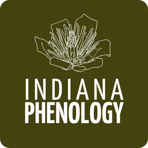 Indiana Phenology Co logo