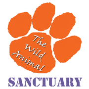 The Wild Animal Sanctuary