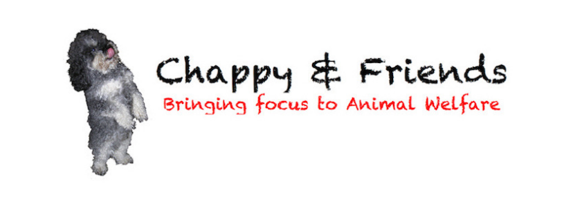 Chappy & Friends logo