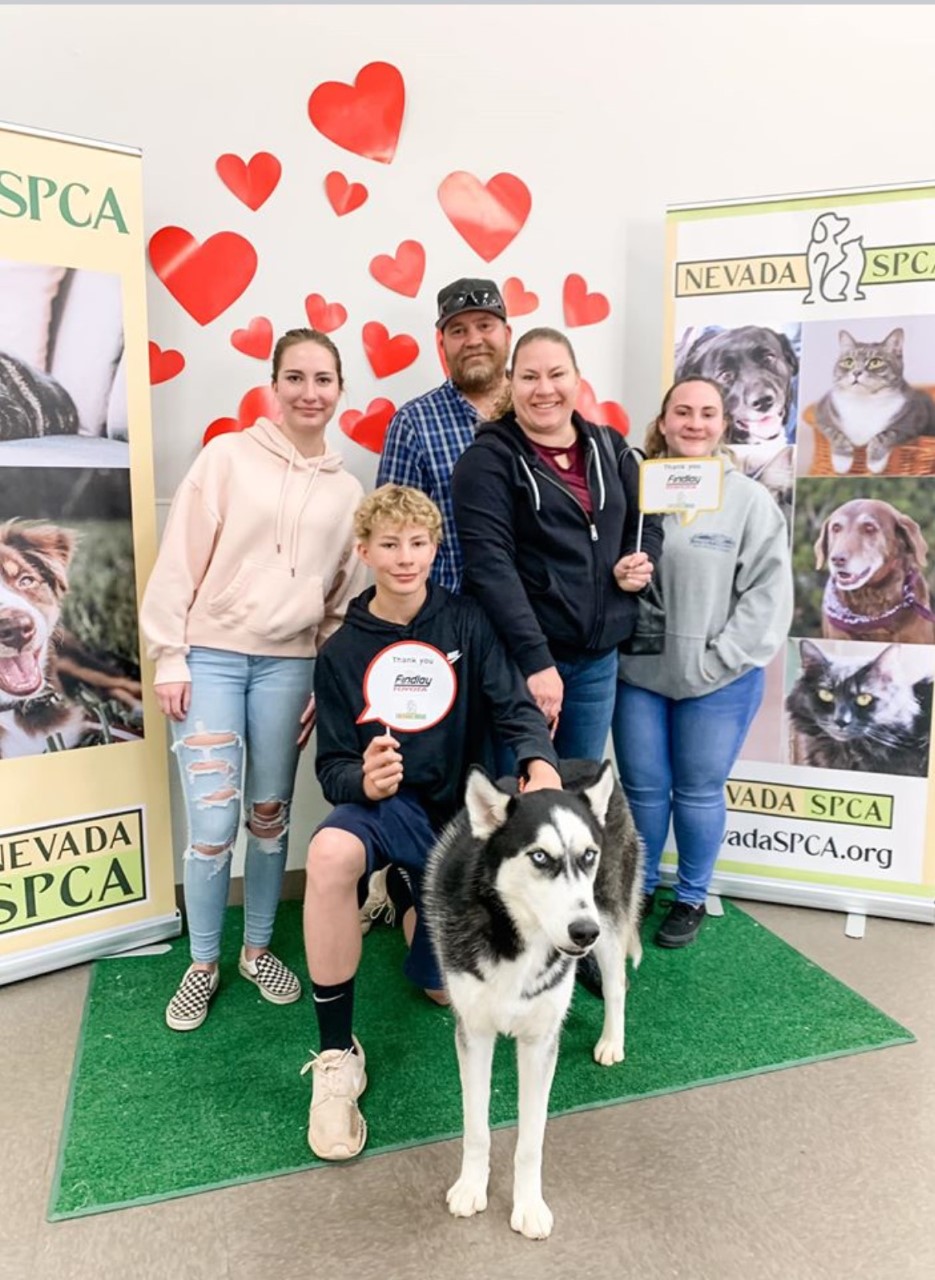 Nevada Humane Society taking fewer Washoe County animals. Why?, image size:935x1280