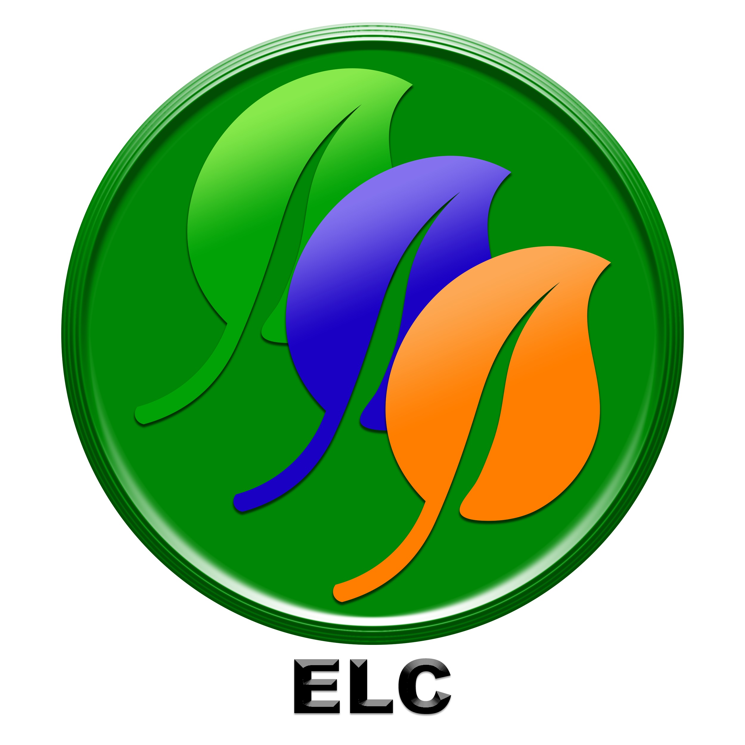 Engage Life s Choices Inc logo