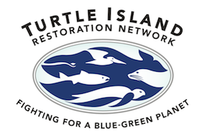 TURTLE ISLAND RESTORATION NETWORK (TIRN) logo