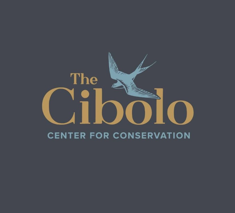 Friends of Cibolo Wilderness logo
