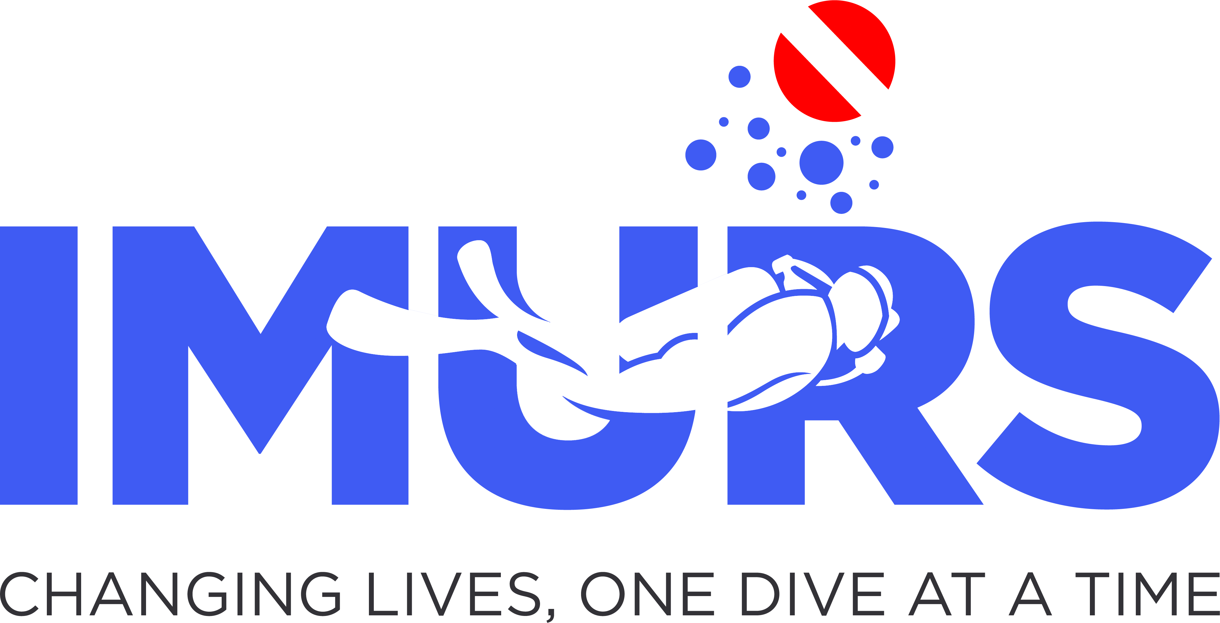 IMURS logo