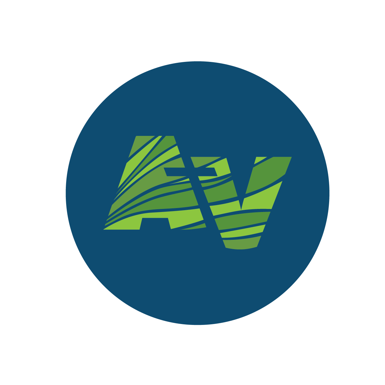 AmazonVida logo