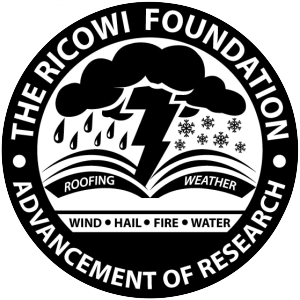 Ricowi Foundation logo