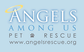 Angels Among Us Pet Rescue, Inc.