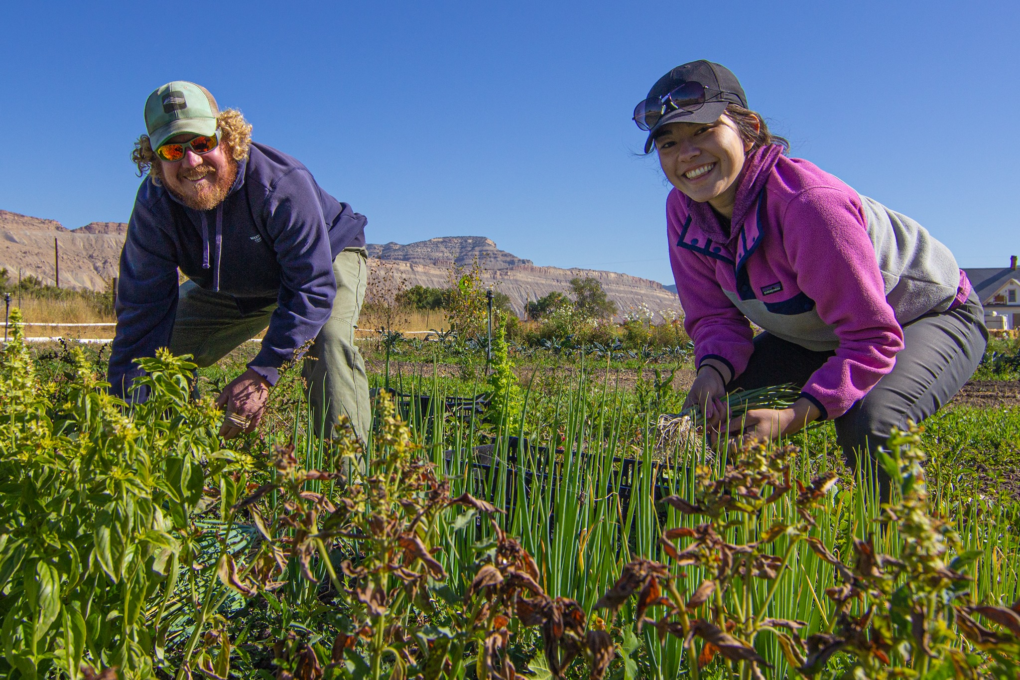 CONSERVATION COLORADO - GuideStar Profile