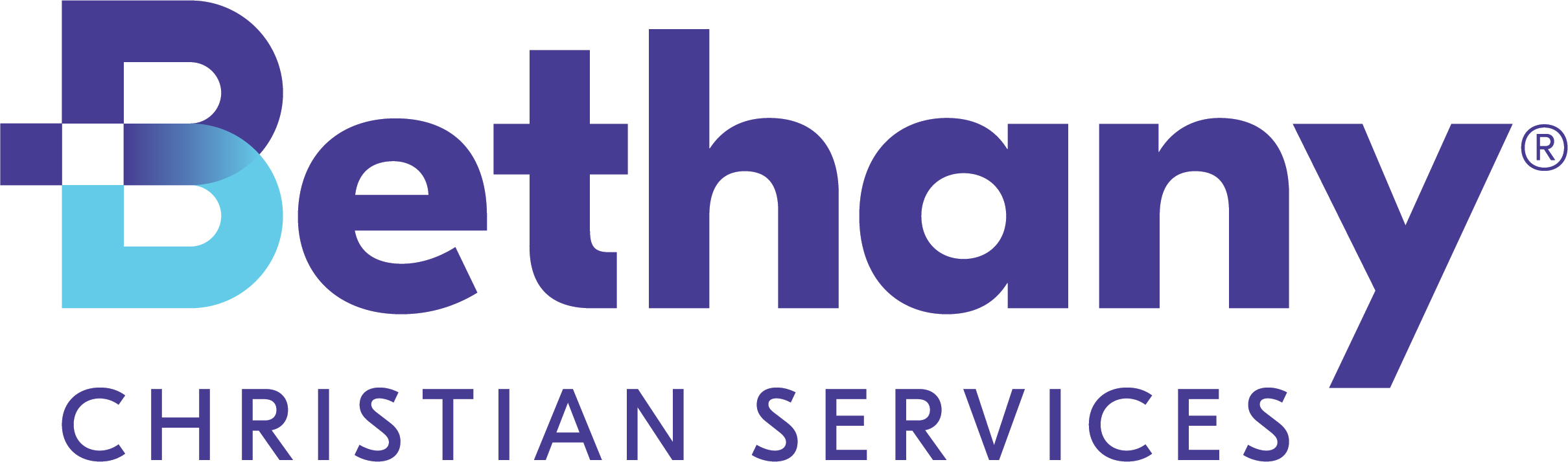 Bethany Christian Services Inc logo