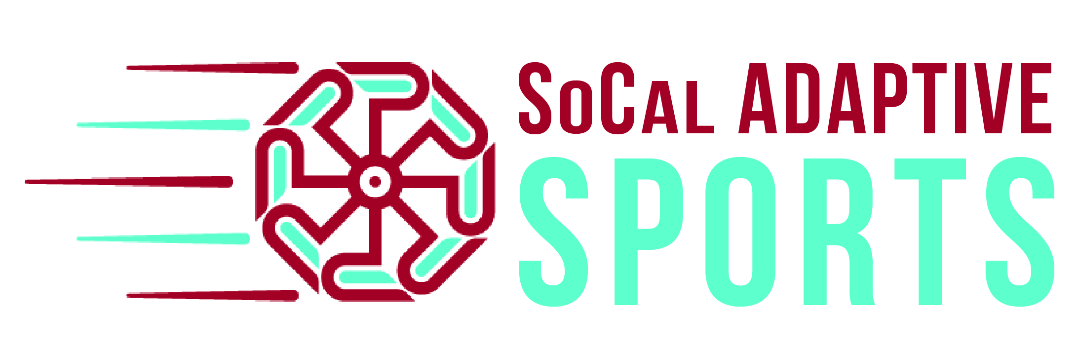Palms To Pines Parasports (SoCal Adaptive Sports) logo