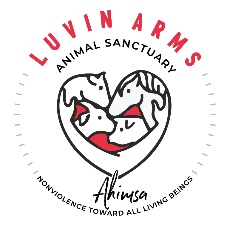 Luvin Arms Animal Sanctuary