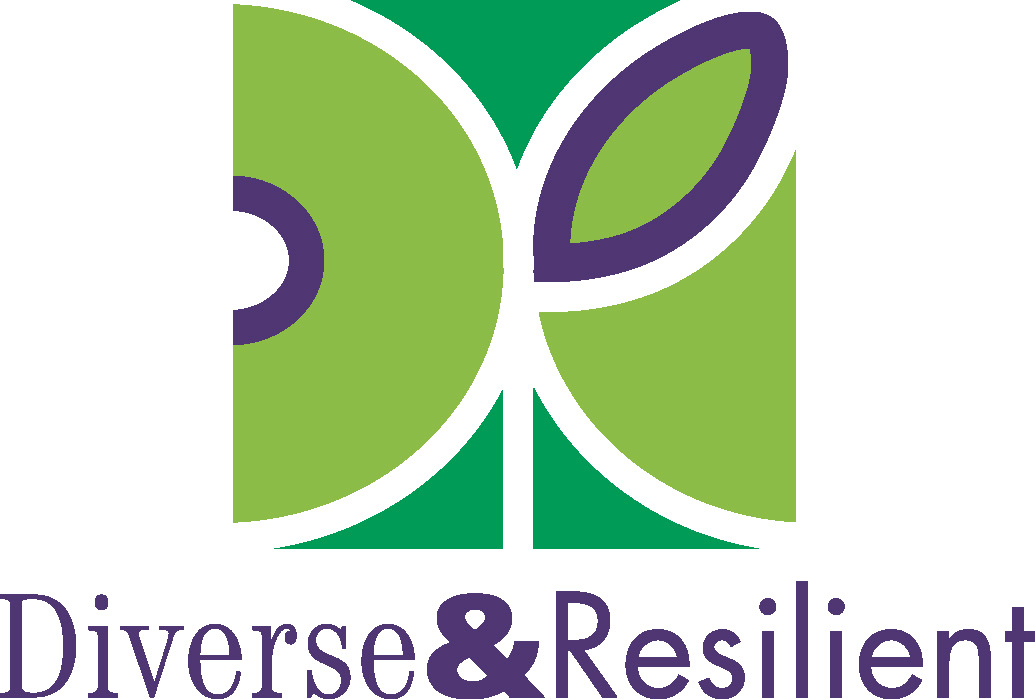 Diverse And Resilient Inc (D&R) logo