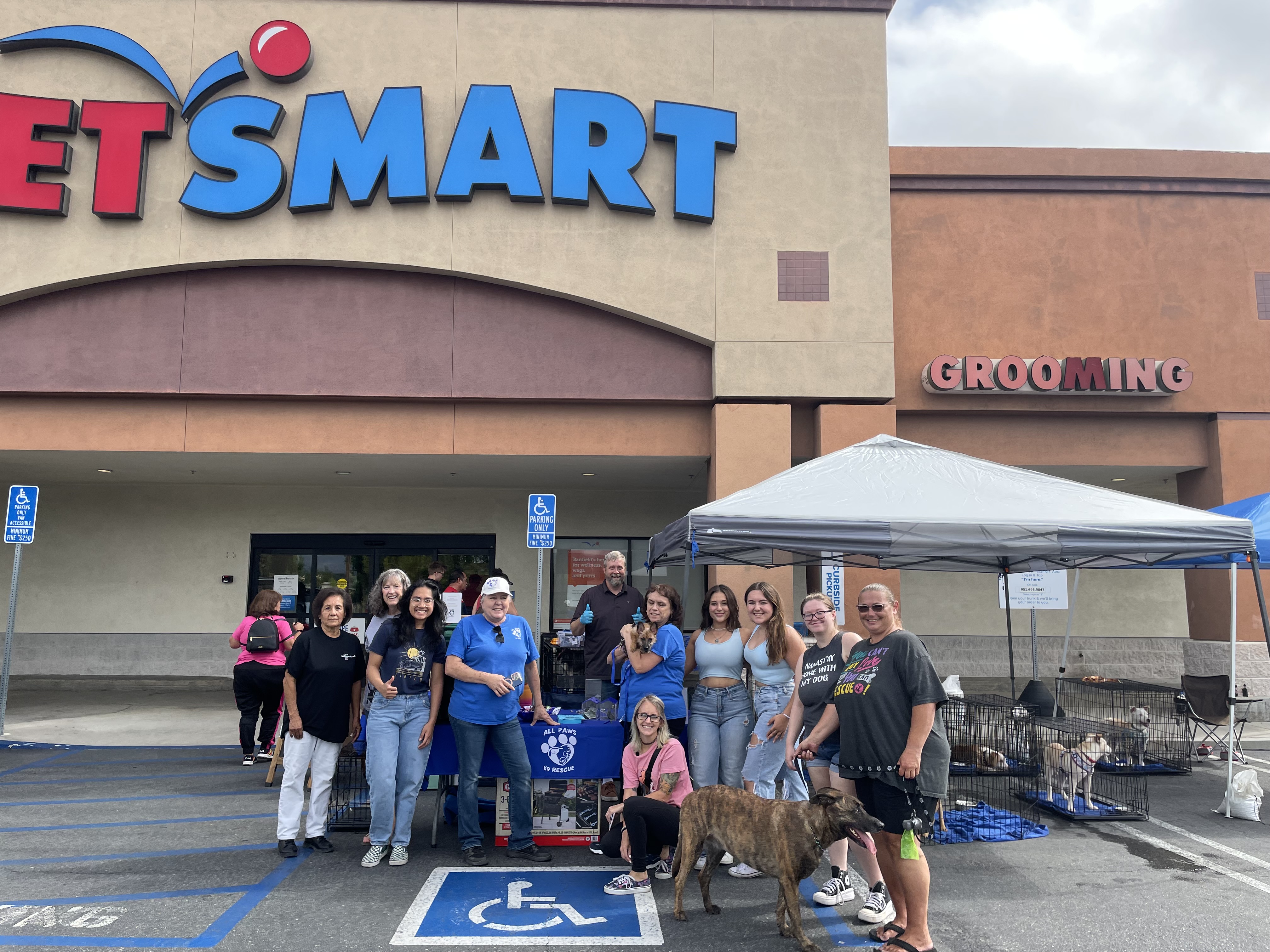 All Paws K9 Rescue - GuideStar Profile