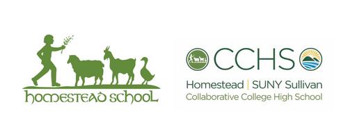Homestead School Sullivan (Collaborative College High School) logo