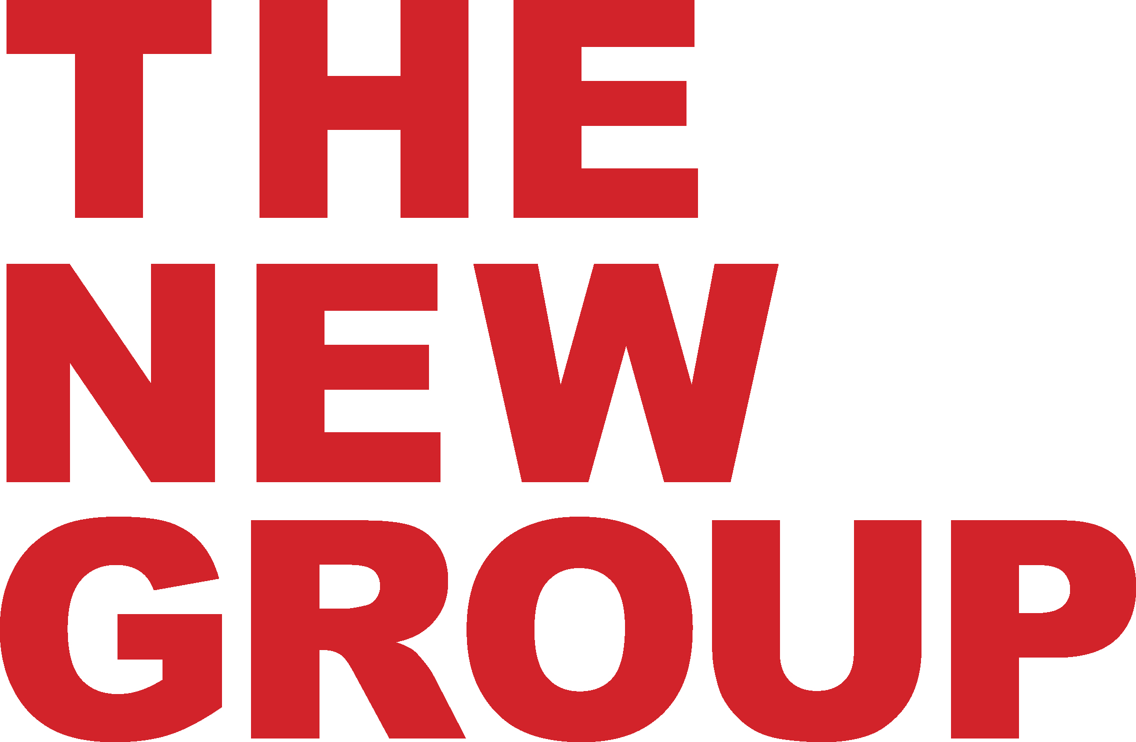 New Group Inc logo