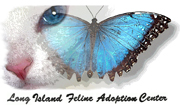 Long Island Feline Adoption Center logo