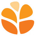 Safe Horizon, Inc.