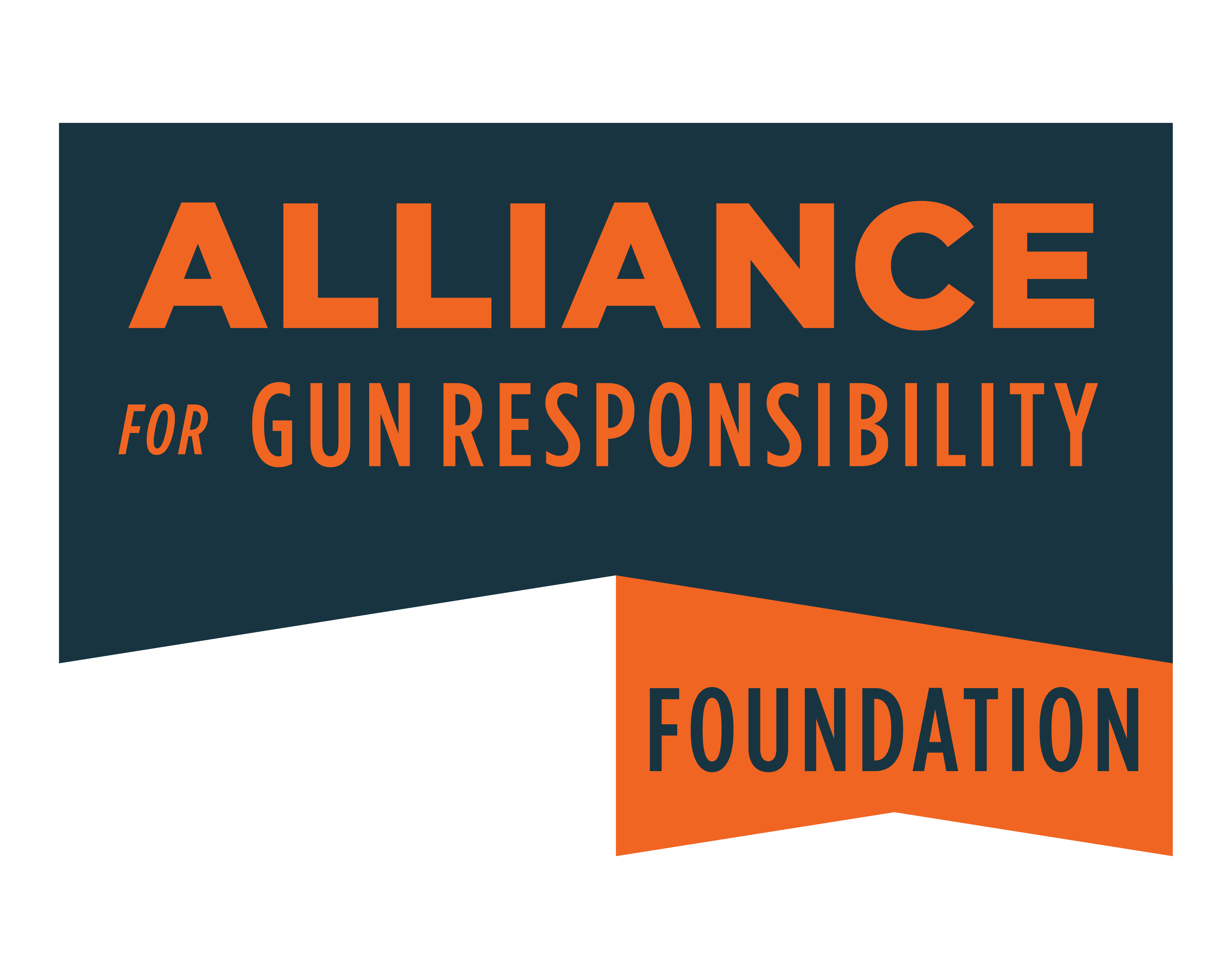 Alliance for Gun Responsibility Foundation