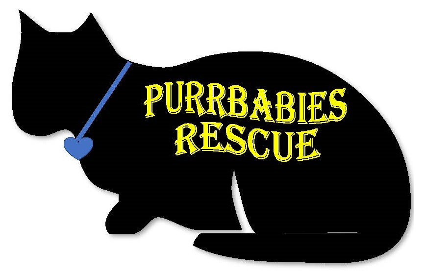 Purrbabies Rescue logo