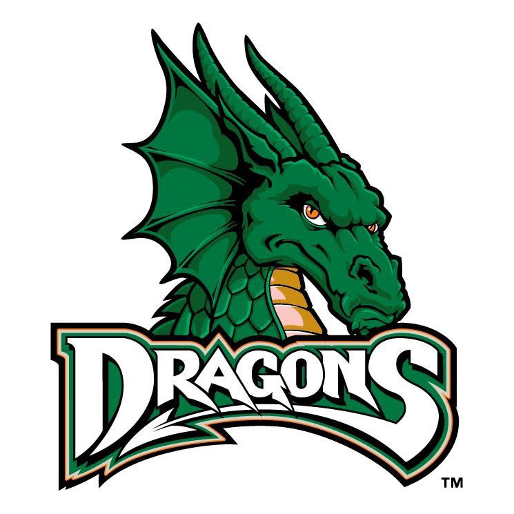 West Davidson Youth Football logo