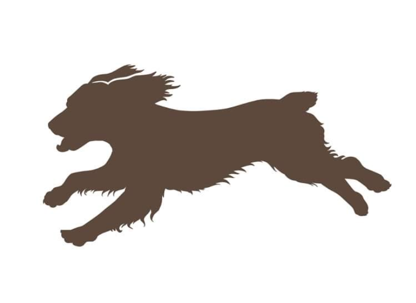 Operation Little Brown Dog logo
