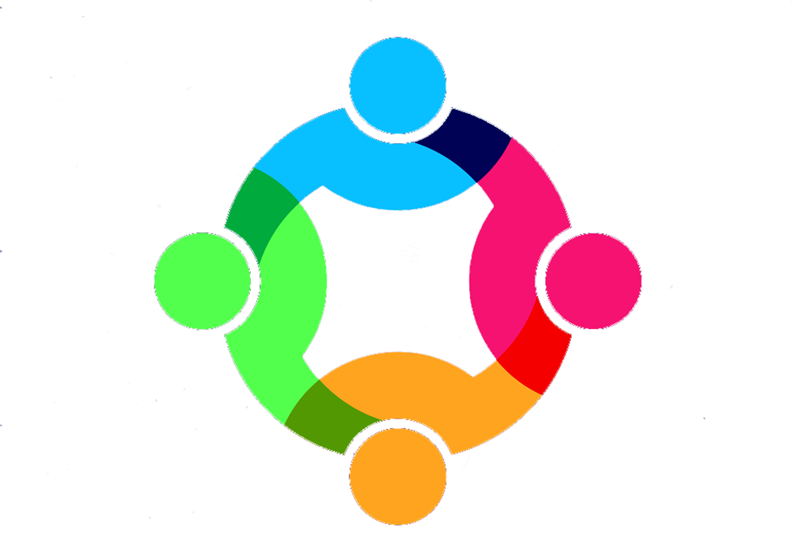 NAAM USA INC logo