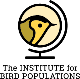 The Institute for Bird Populations logo