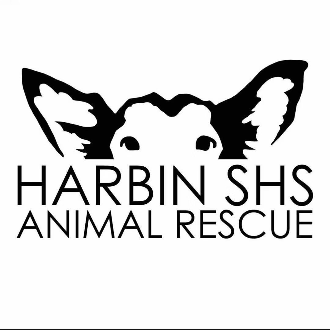 Harbin Shs Animal Rescue
