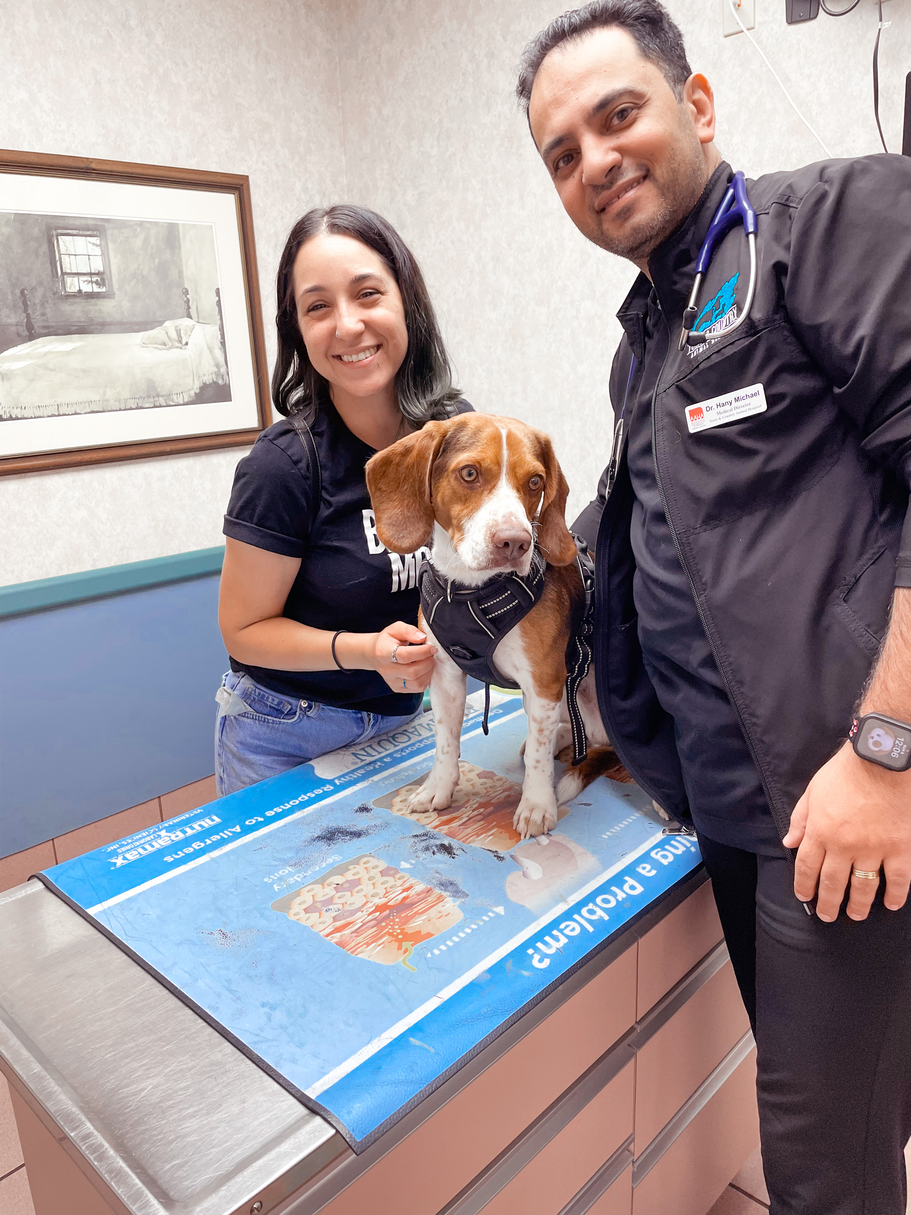 South Florida Beagle Rescue Inc - GuideStar Profile