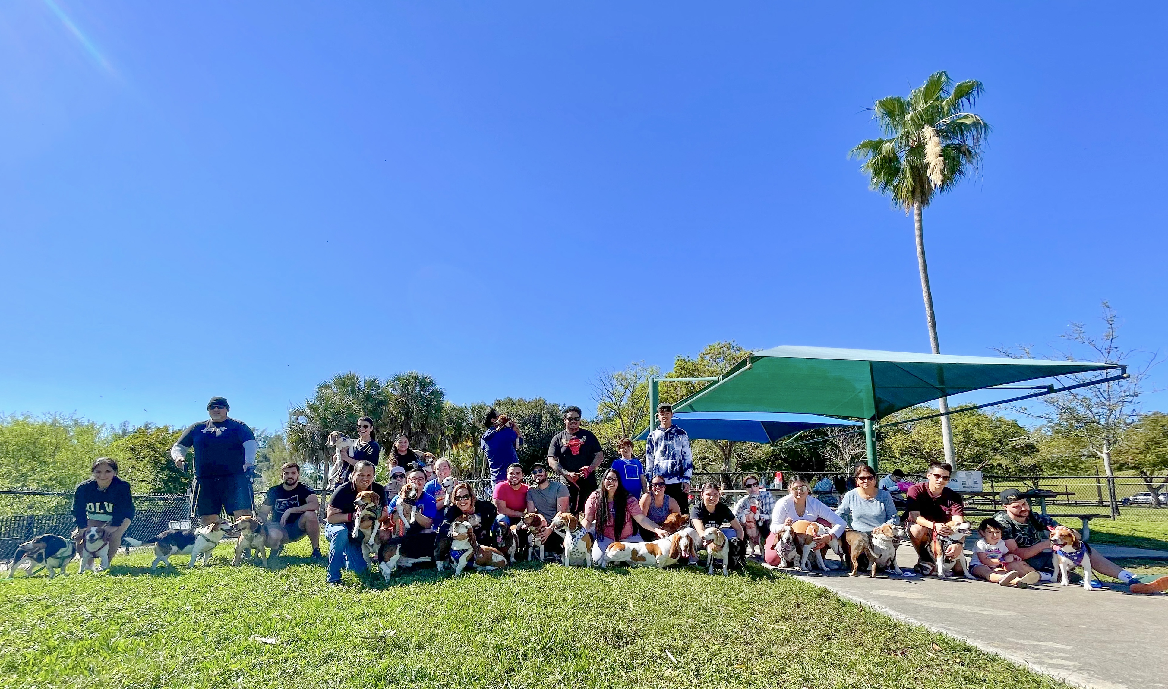 South Florida Beagle Rescue Inc - GuideStar Profile