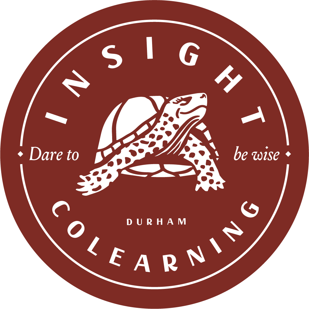 Insight Colearning Center logo