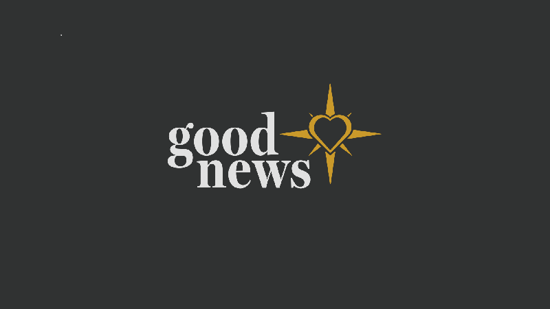 Good N.E.W.S. LAH/BNP logo