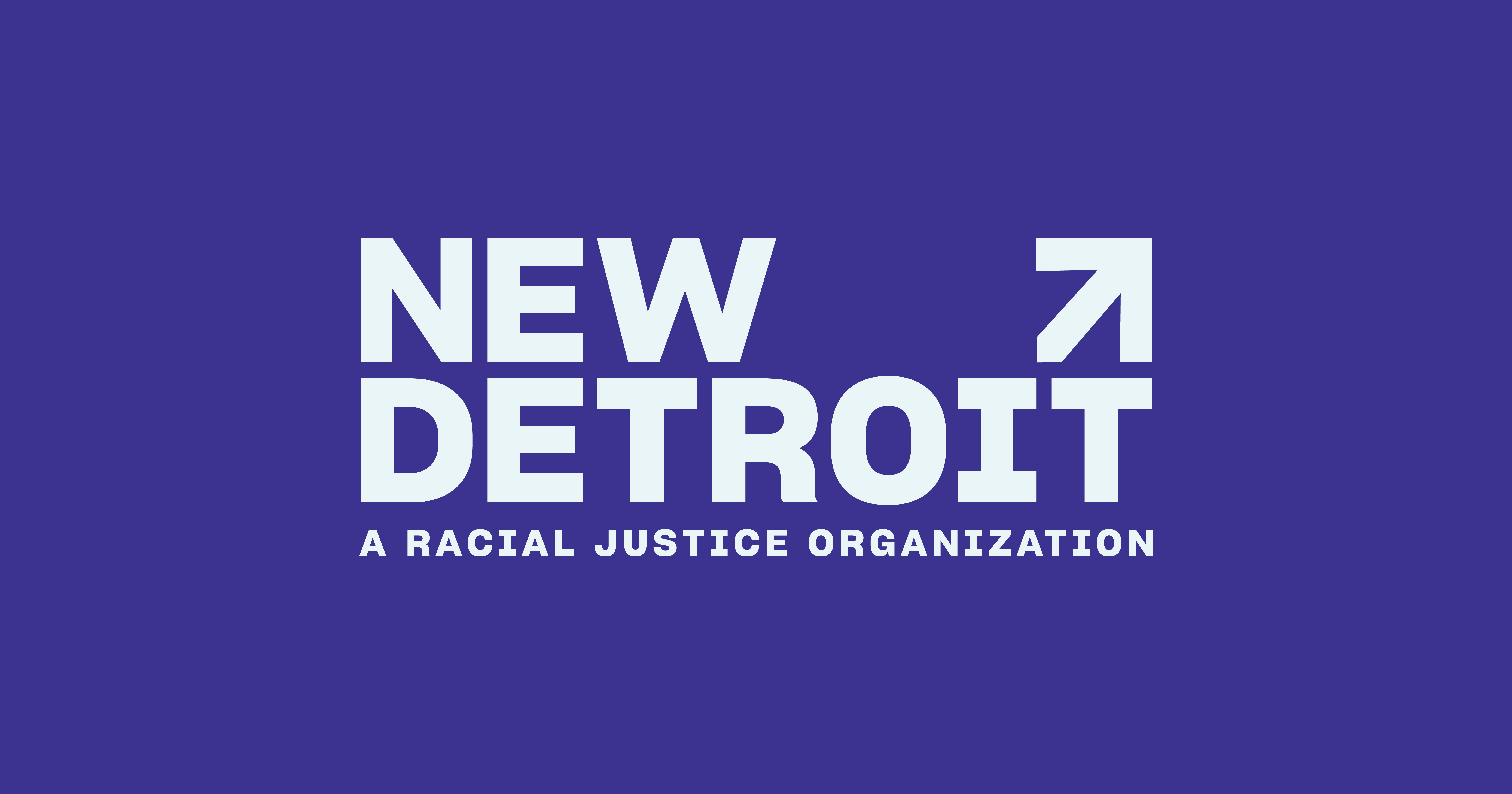 New Detroit Inc (New Detroit - A Racial Justice Organization) logo