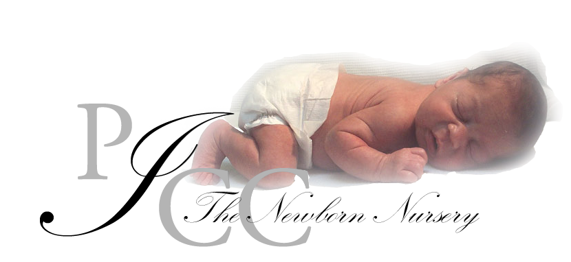 PEDIATRIC INTERIM CARE CENTER/ THE NEWBORN NURSERY logo