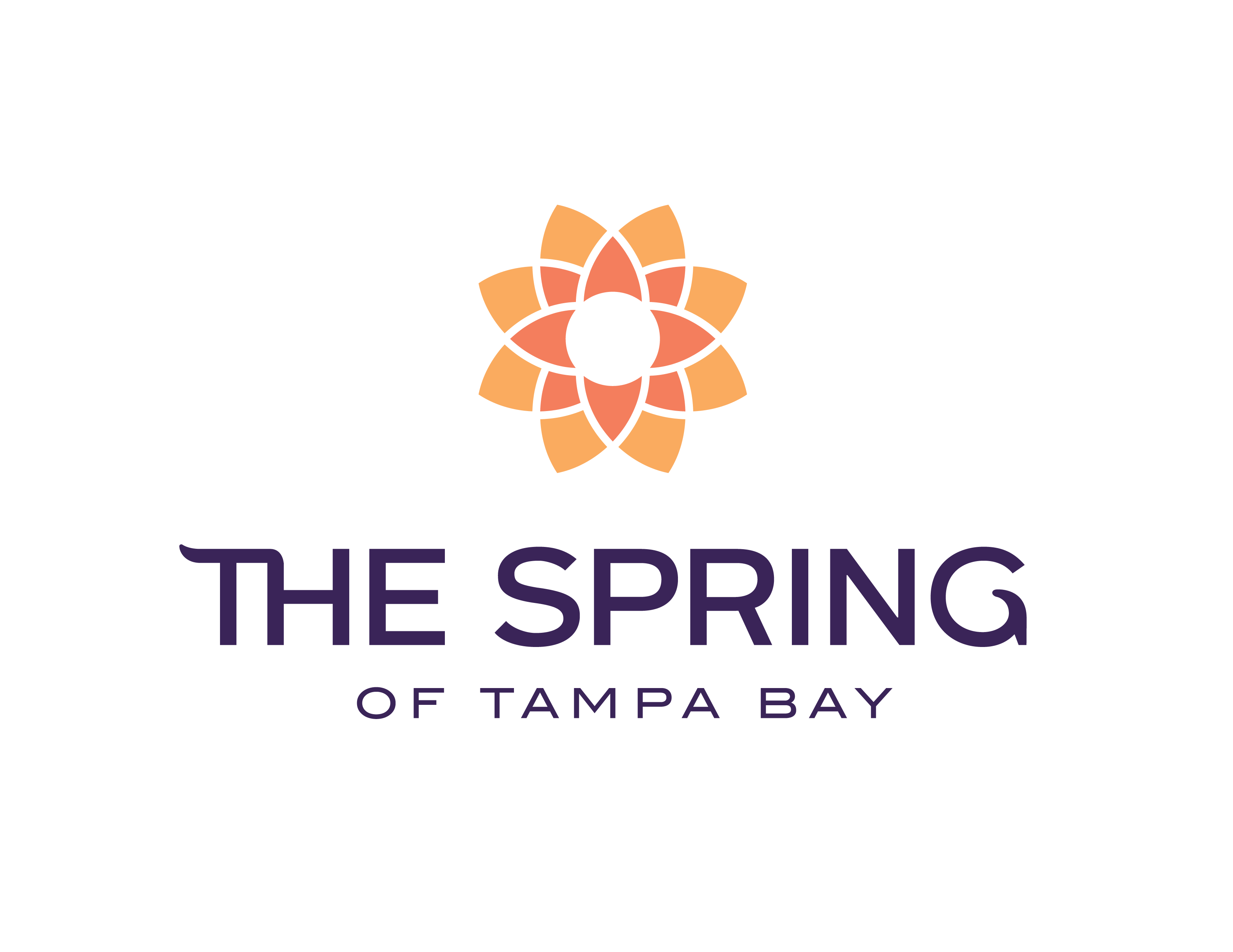 The Spring of Tampa Bay Inc