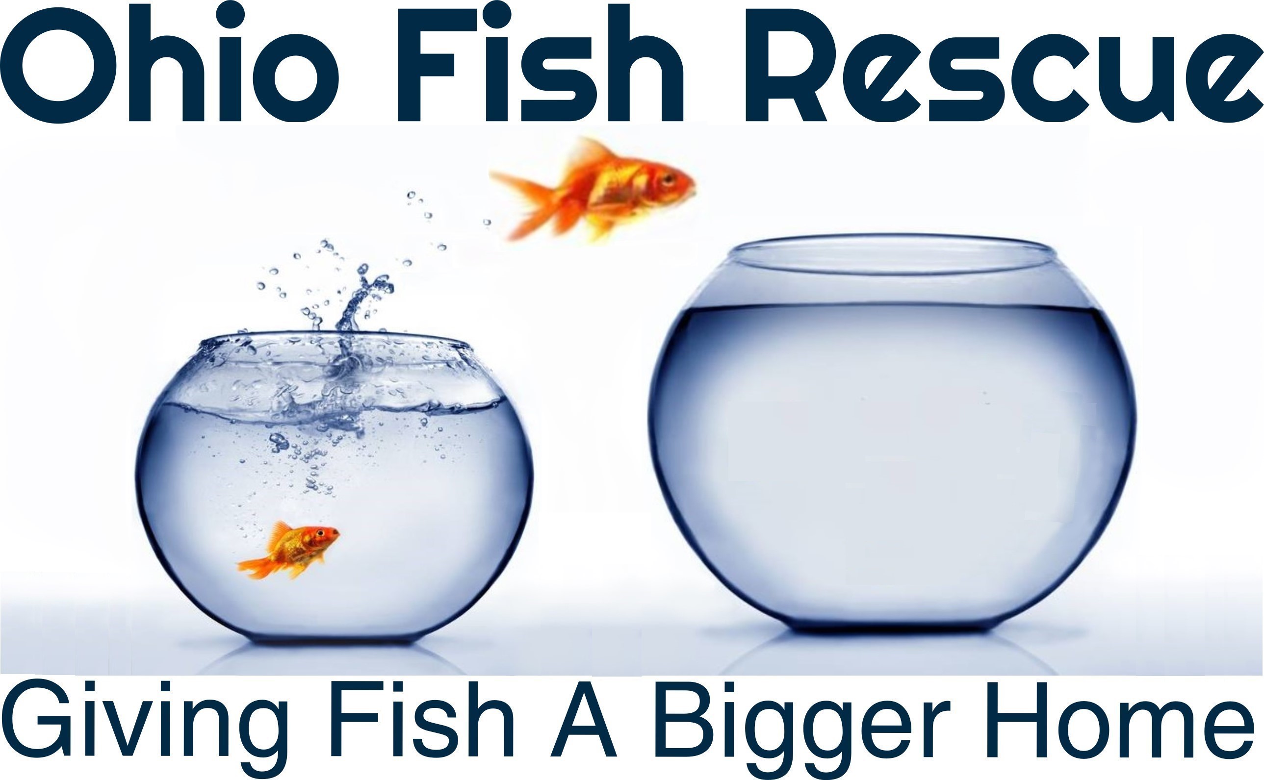 OHIO FISH RESCUE INC - GuideStar Profile