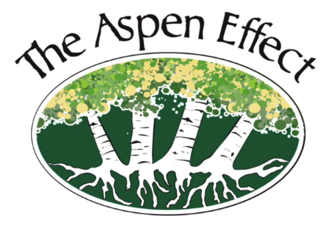The Aspen Effect logo