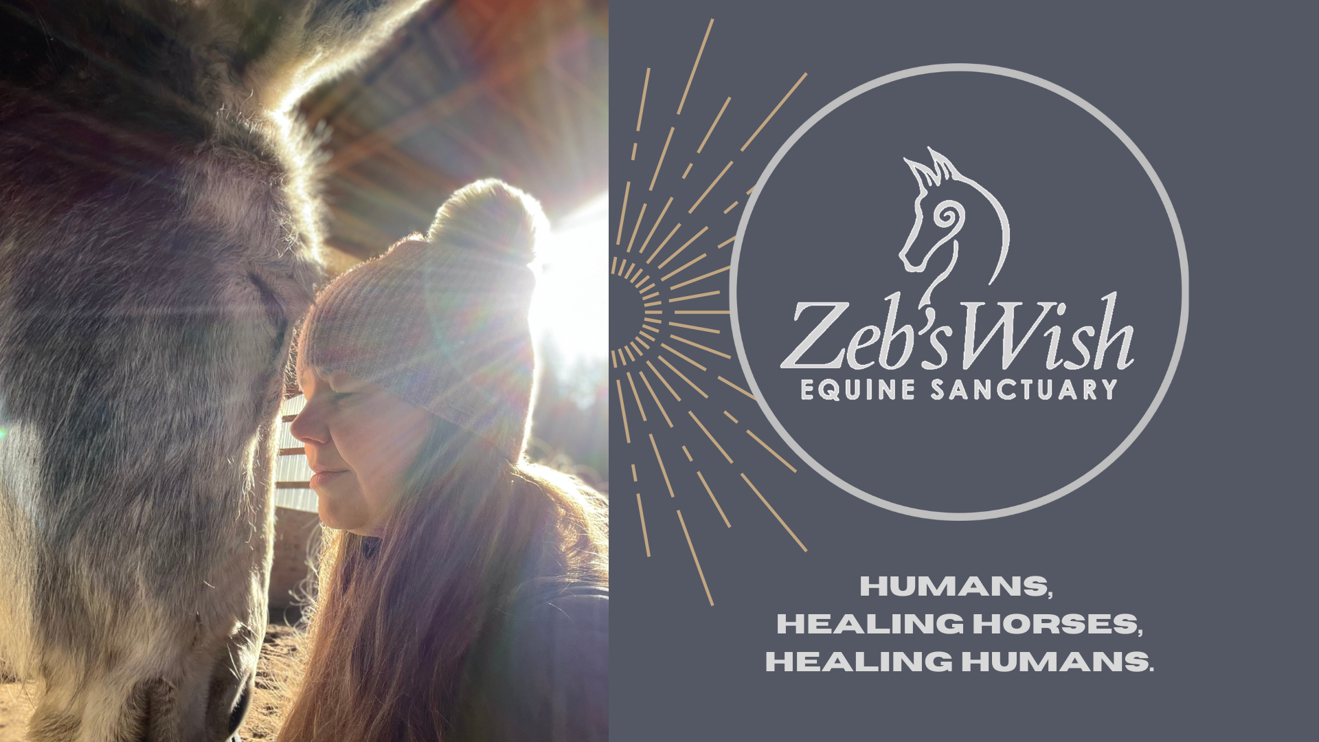 Zeb's Wish Equine Sanctuary - GuideStar Profile